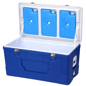 Netapack-uluslararası lojistik için aşı taşıma kutusu tedariki