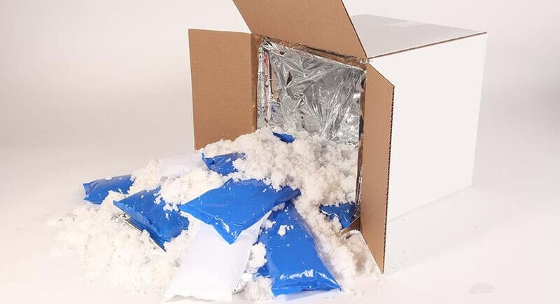 Netapack-Bozulabilir ürün paketleme-kuru buzlu paketleme